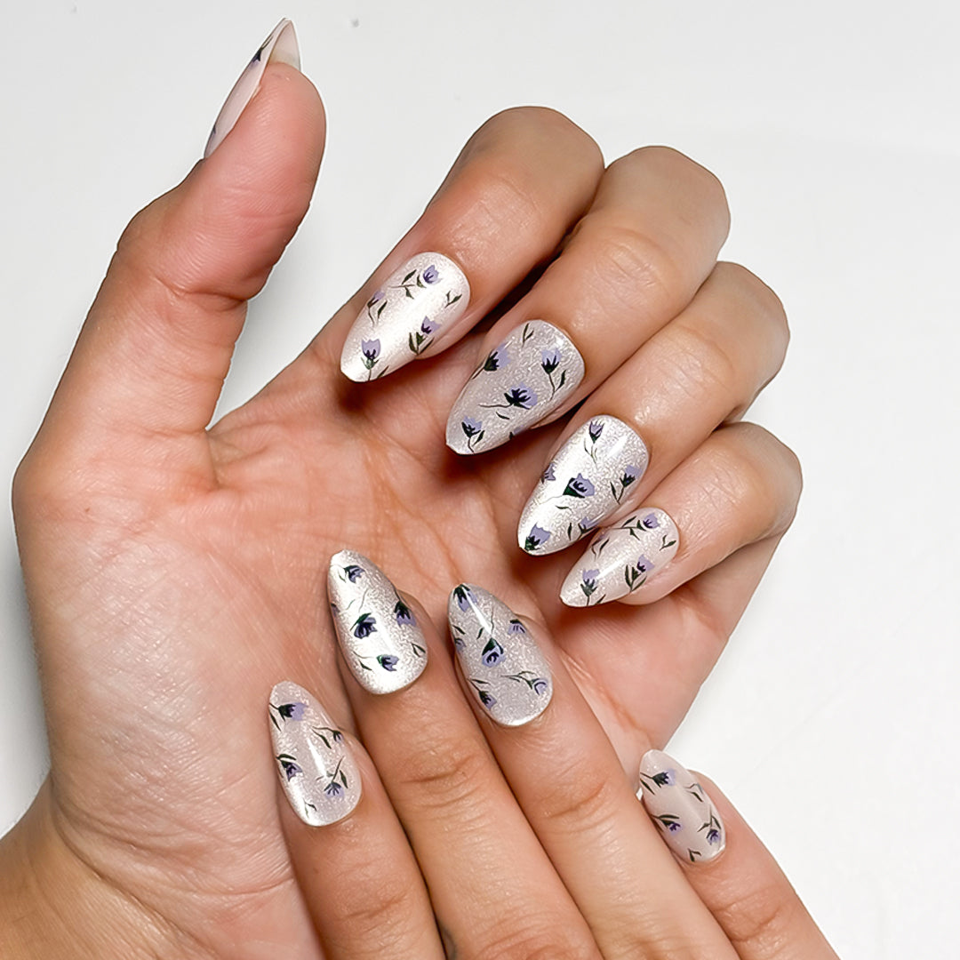 Lavender